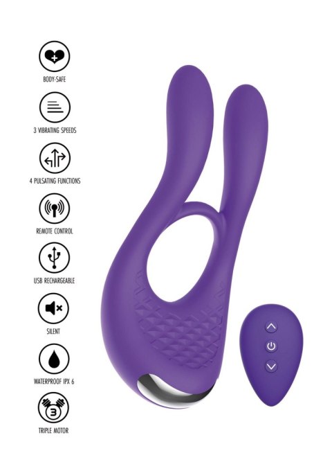 Joy Ride To Paradise Purple Joy Ride To Paradise Purple