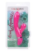 Foreplay Frenzy Pucker Pink Foreplay Frenzy Pucker Pink