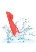 Red Hot Blaze Red Red Hot Blaze Red