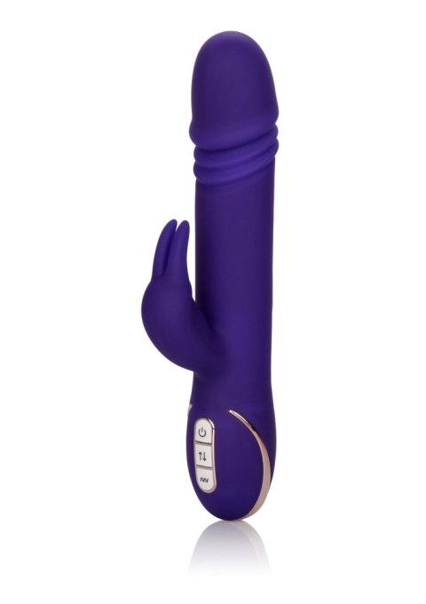 Thrusting Rabbit Signature Purple Thrusting Rabbit Signature Purple