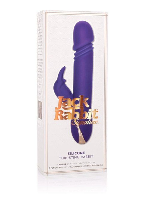 Thrusting Rabbit Signature Purple Thrusting Rabbit Signature Purple