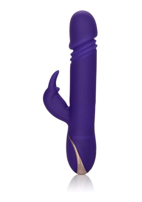 Thrusting Rabbit Signature Purple Thrusting Rabbit Signature Purple