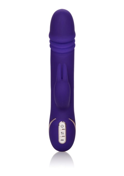 Thrusting Rabbit Signature Purple Thrusting Rabbit Signature Purple