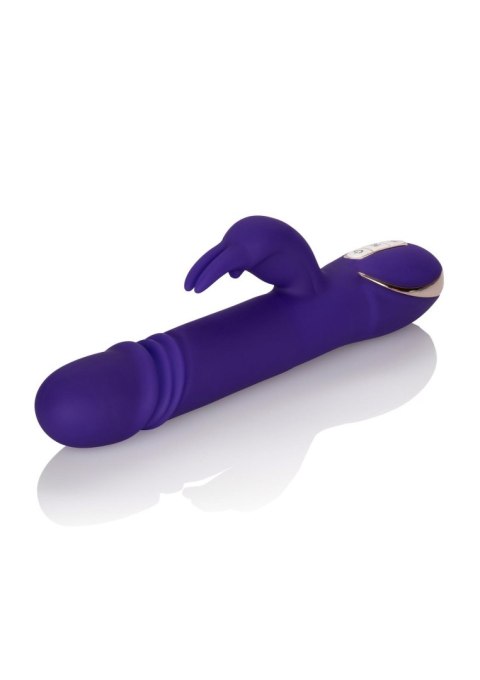 Thrusting Rabbit Signature Purple Thrusting Rabbit Signature Purple