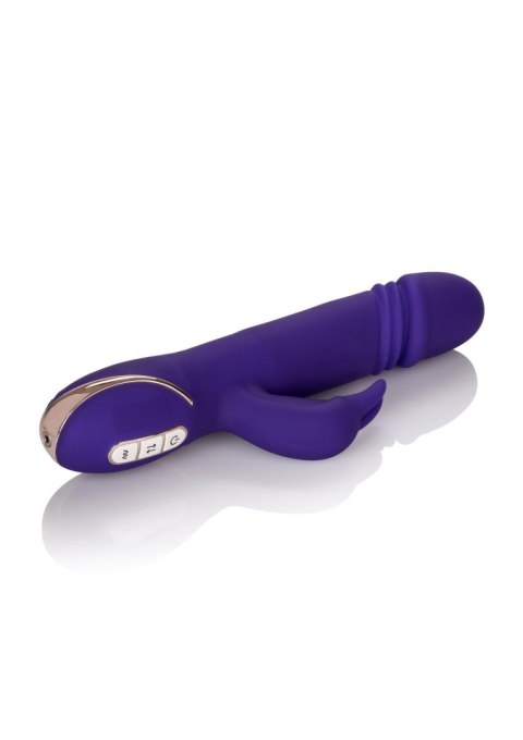 Thrusting Rabbit Signature Purple Thrusting Rabbit Signature Purple