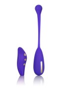 Estim Remote Kegel Exerciser Blue Estim Remote Kegel Exerciser Blue