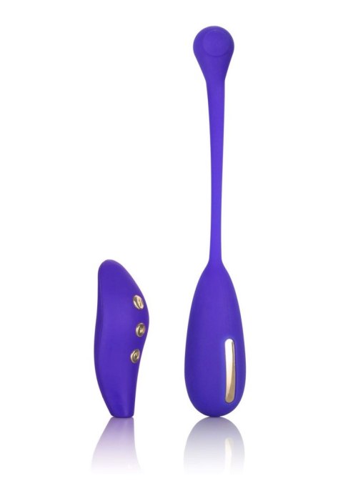 Estim Remote Kegel Exerciser Blue Estim Remote Kegel Exerciser Blue
