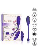 Estim Remote Kegel Exerciser Blue Estim Remote Kegel Exerciser Blue