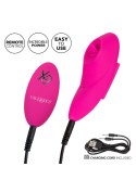 Remote Flicker Panty Teaser Pink Remote Flicker Panty Teaser Pink