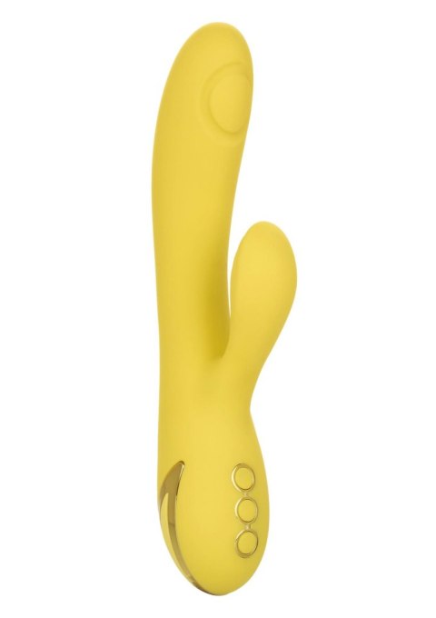 San Diego Seduction Yellow San Diego Seduction Yellow