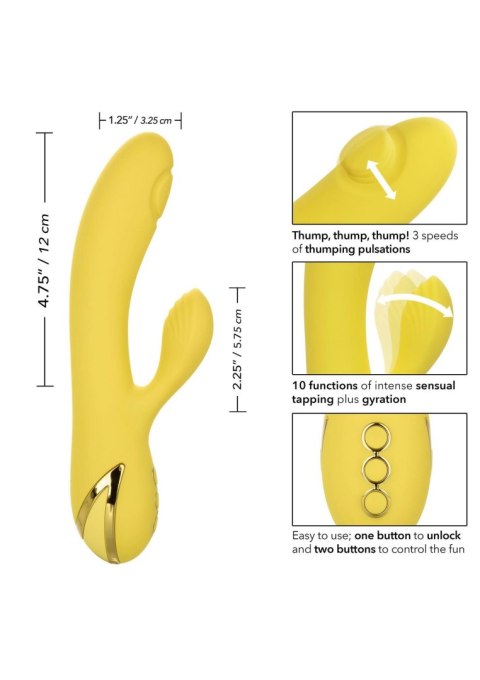 San Diego Seduction Yellow San Diego Seduction Yellow