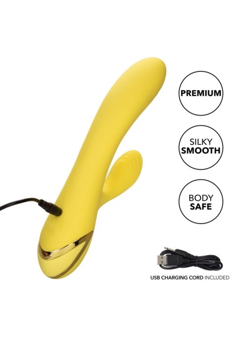 San Diego Seduction Yellow San Diego Seduction Yellow