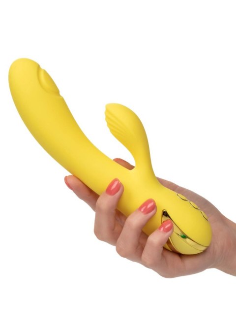 San Diego Seduction Yellow San Diego Seduction Yellow