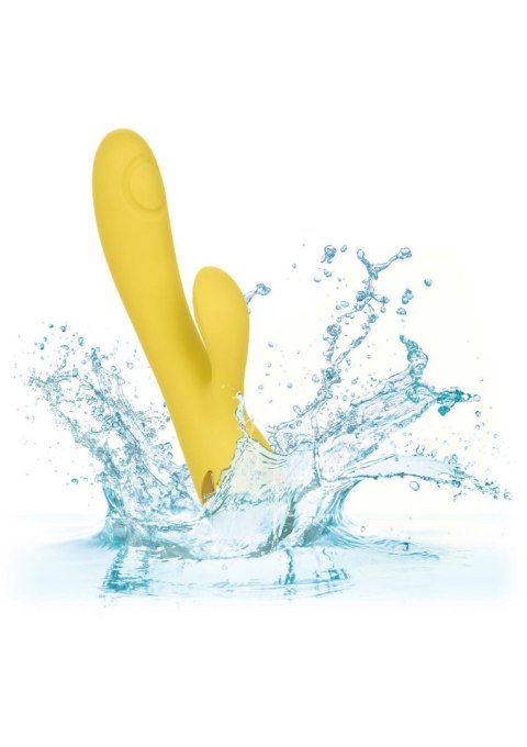 San Diego Seduction Yellow San Diego Seduction Yellow