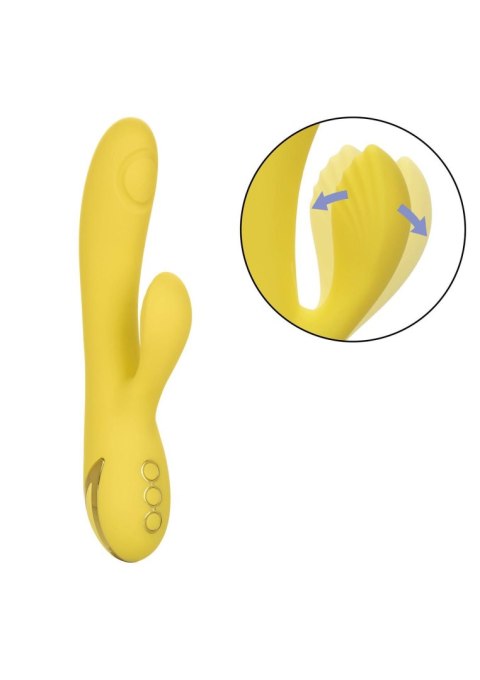 San Diego Seduction Yellow San Diego Seduction Yellow