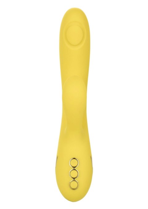 San Diego Seduction Yellow San Diego Seduction Yellow