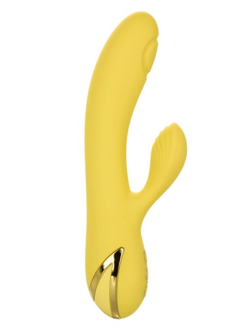 San Diego Seduction Yellow San Diego Seduction Yellow
