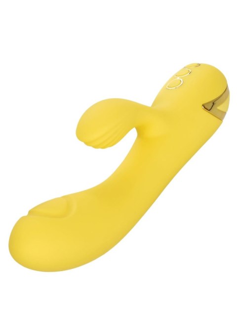 San Diego Seduction Yellow San Diego Seduction Yellow