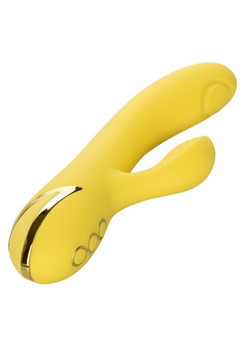 San Diego Seduction Yellow San Diego Seduction Yellow