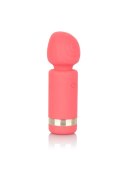 Slay Exciter Pink Slay Exciter Pink