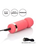 Slay Exciter Pink Slay Exciter Pink
