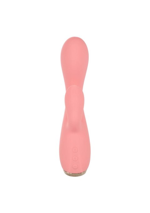 Uncorked Zinfandel Pink Uncorked Zinfandel Pink
