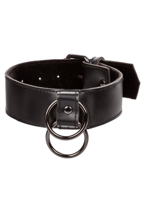 Collar With Chain Leash Black Collar With Chain Leash Black