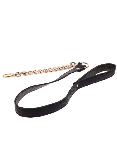 Statement Collar and leash Rose Gold Statement Collar and leash Rose Gold