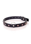 Fetish B - Series Collar - 2 cm pink crystal Fetish B - Series Collar - 2 cm pink crystal