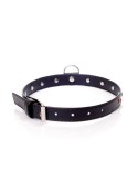 Fetish B - Series Collar - 2 cm. red crystal Fetish B - Series Collar - 2 cm. red crystal