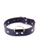 Fetish B - Series Collar with studs 3 cm Red Line Fetish B - Series Collar with studs 3 cm Red Line