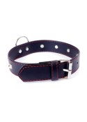 Fetish B - Series Collar with studs 3 cm Red Line Fetish B - Series Collar with studs 3 cm Red Line