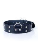 Fetish B - Series Collar with studs 4 cm Fetish B - Series Collar with studs 4 cm