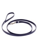 Fetish B - Series Leash Fetish B - Series Leash