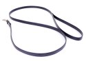 Fetish B - Series Leash Fetish B - Series Leash