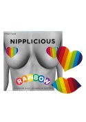 Nipplicious Rainbow Pasties Rainbow Nipplicious Rainbow Pasties Rainbow