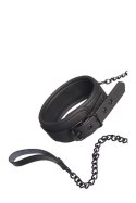 BLAZE COLLAR AND LEASH BLACK BLAZE COLLAR AND LEASH BLACK