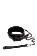 BLAZE COLLAR AND LEASH PURPLE BLAZE COLLAR AND LEASH PURPLE