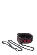 BLAZE DELUXE COLLAR & LEASH BLAZE DELUXE COLLAR & LEASH