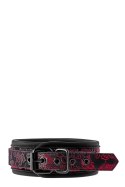 BLAZE DELUXE COLLAR & LEASH BLAZE DELUXE COLLAR & LEASH