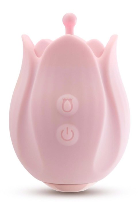 PLAY WITH ME ROMANTIC ROSE PINK PLAY WITH ME ROMANTIC ROSE PINK