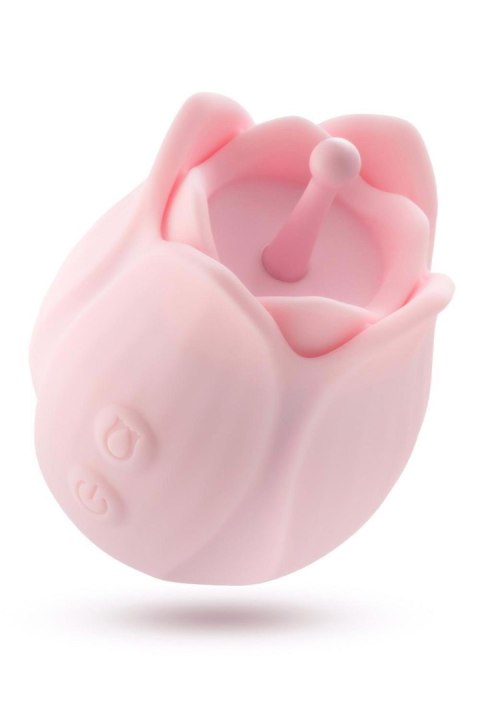 PLAY WITH ME ROMANTIC ROSE PINK PLAY WITH ME ROMANTIC ROSE PINK