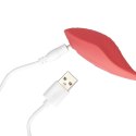 Panty Vibrator with Remote Control Panty Vibrator with Remote Control