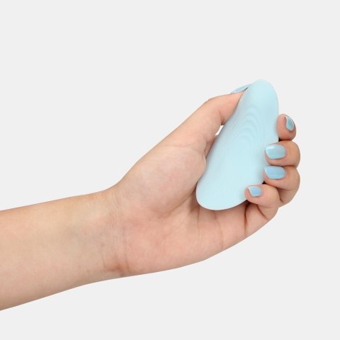 Panty Vibrator with Remote Control Panty Vibrator with Remote Control