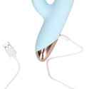 Pulse Wave and Up-and-Down Moving Ring Vibrator Pulse Wave and Up-and-Down Moving Ring Vibrator
