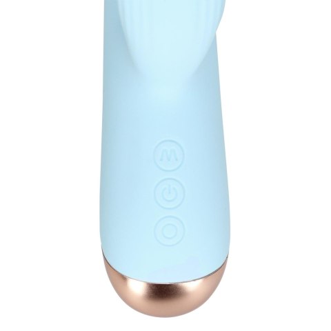 Pulse Wave and Up-and-Down Moving Ring Vibrator Pulse Wave and Up-and-Down Moving Ring Vibrator