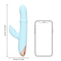Pulse Wave and Up-and-Down Moving Ring Vibrator Pulse Wave and Up-and-Down Moving Ring Vibrator