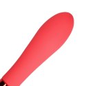 Silicone Smooth Vibrator Silicone Smooth Vibrator
