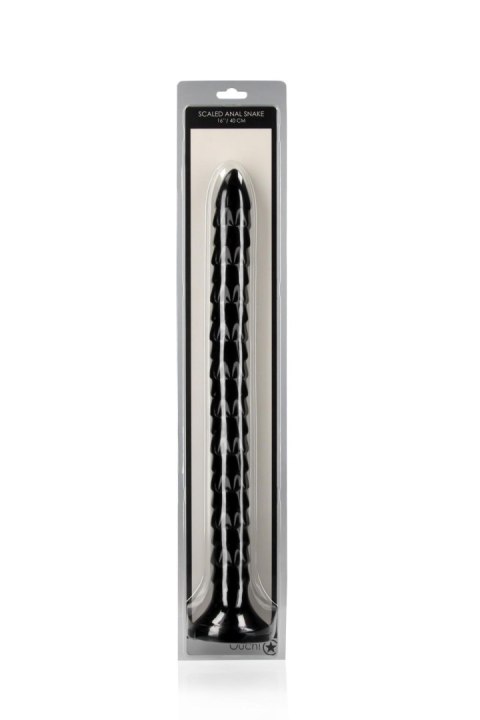 Scaled Anal Snake - 16''/ 40 cm Scaled Anal Snake - 16''/ 40 cm