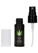 CBD Cannabis Delay Spray - 15 ml CBD Cannabis Delay Spray - 15 ml
